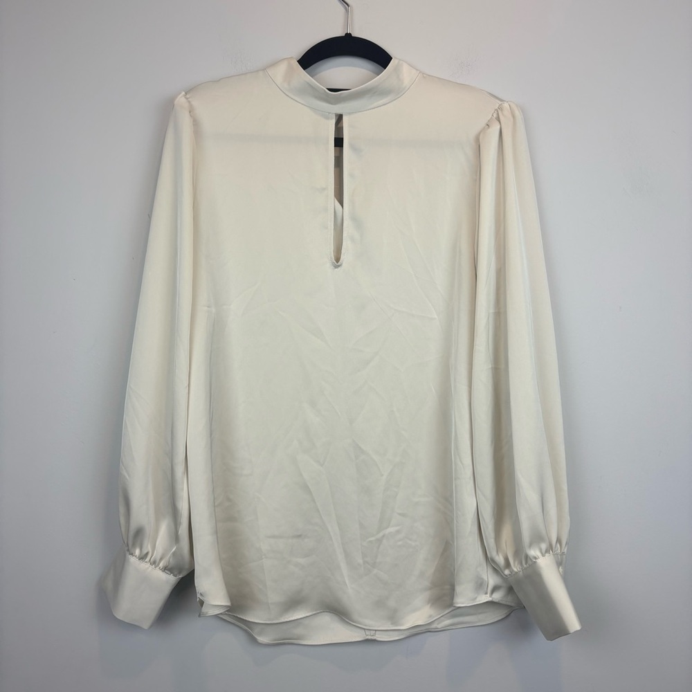 Aritzia Babaton Blouse in matte pearl satin